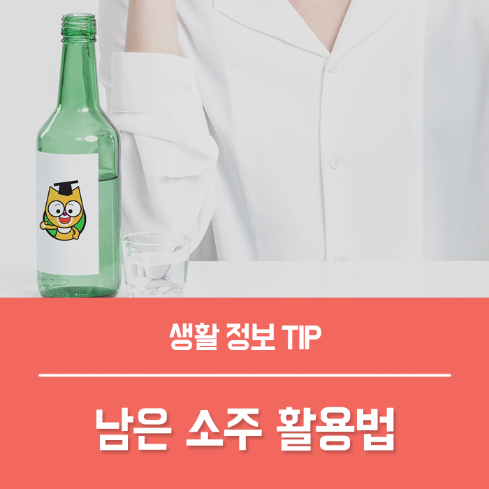  먹다 남은 소주 나만 알고있는 활용법 7가지