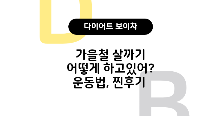  다이어트보이차 내가해봤다