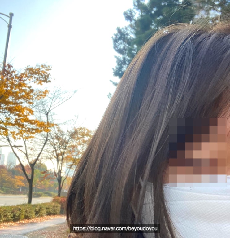  이지엔 푸딩 염색약 베이지 쿨 브라운 생각보다 너무 잘 나온 후기
