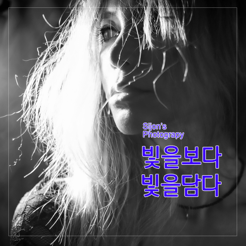  [코조우 스튜디오] MD_카시아