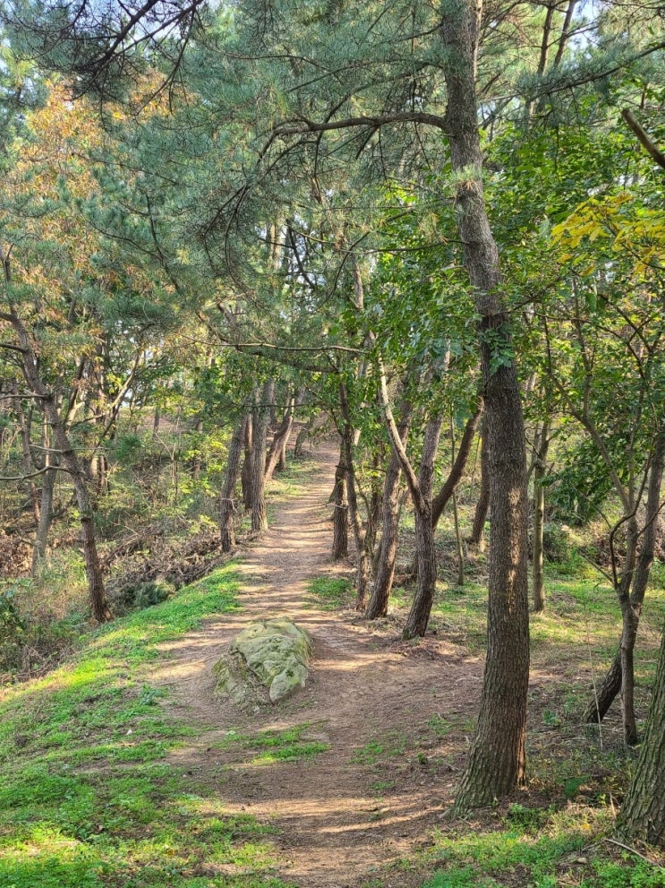  김제 가볼만한 곳, 입석산과 와석산  둘레길(신금경로당~입석산~와석산~소토리~원점) 걷기