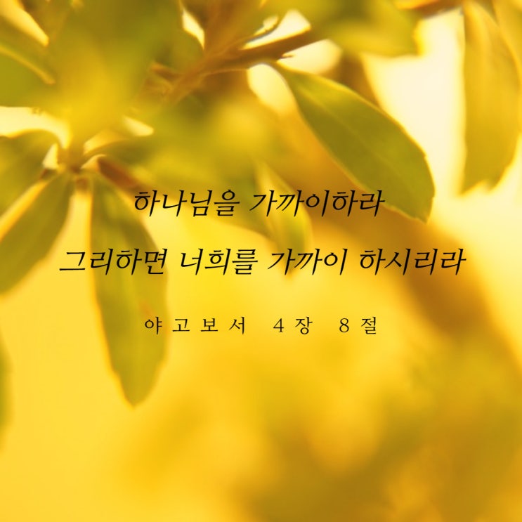  복음의 진리에 반응하십시오!