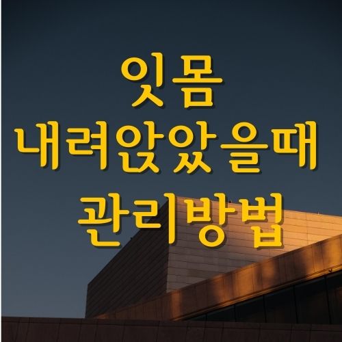 잇몸 내려앉을 때 (feat. 관리 방법 치과 홍보 아님)