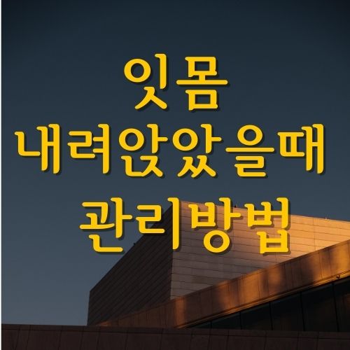  잇몸 내려앉을 때 (feat. 관리 방법 치과 홍보 아님)