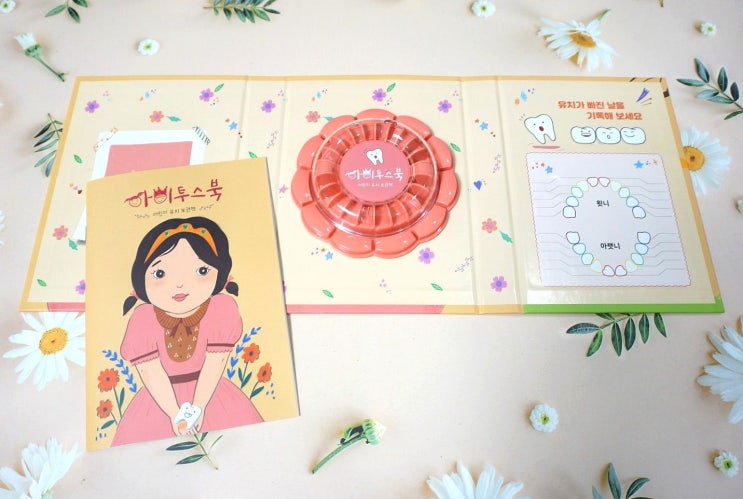  유치 빠지는 순서와 시기, 유치보관함 추천해요