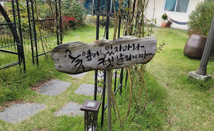  2021년 10월 하반기 일상 [직장인일상/직장인도시락/다이어트도시락/다이어트식단/식단관리/쿠팡로켓배송/내돈내산/에어쇼/홍제동카페/코로나검사/용산스키야끼/평화의공원/상암맛집]