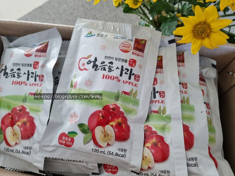 아침사과를 쉽고 진하게 즐기는 방법 _ 얼음골 신씨농장 밀양 얼음골 사과즙