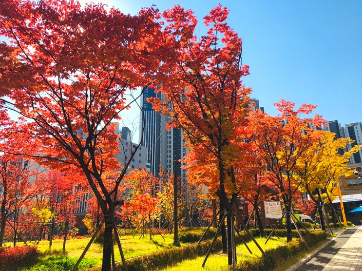  2021 :: 슬기로운 가을 일상