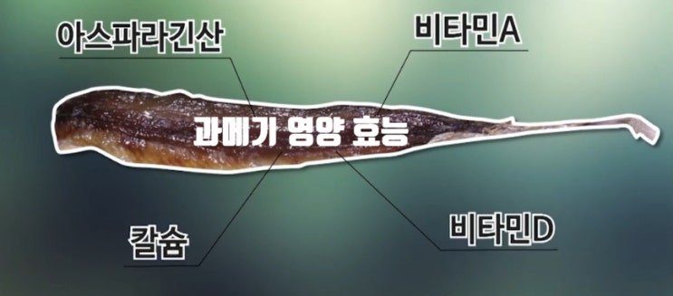  제철 과메기 영양성분과 효능 먹는법 (ft. 활용법 요리 손질 보관 방법)