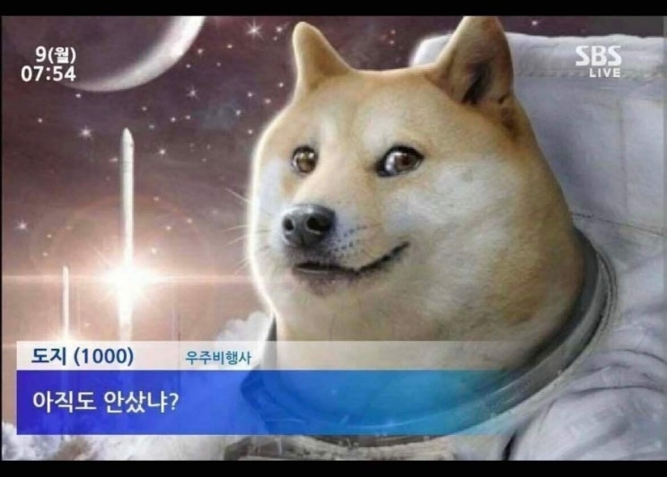  업비트 가입하는 방법
