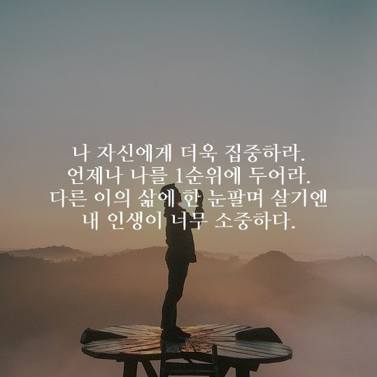 부거사이 [부동산 뉴스와 블로그] 11월 3일(수)