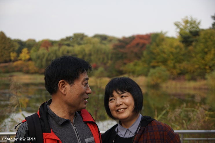 부모님과 함께 한 석촌호수와 올림픽공원에서의 단풍놀이