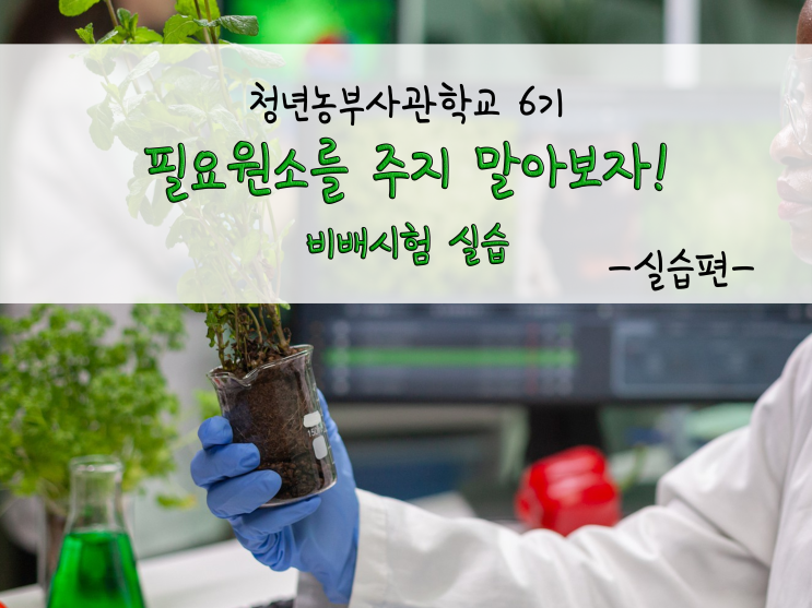  필요원소를 주지 말아보자!_비배시험 실습_211103