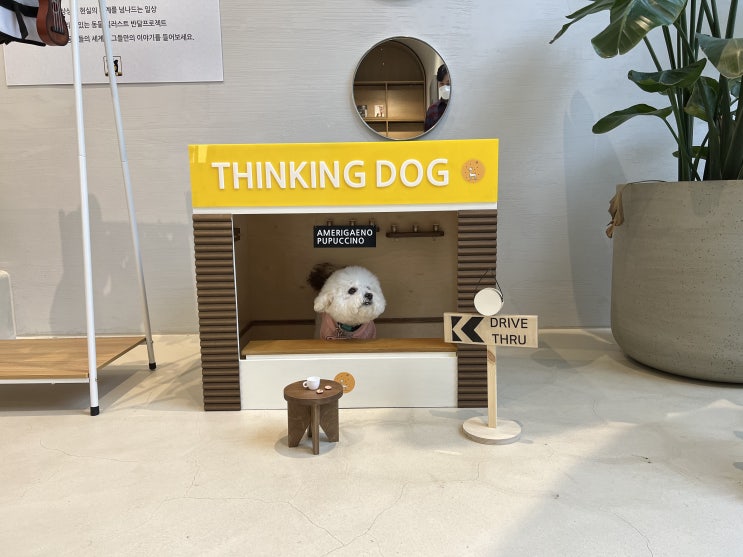 [일산 애견동반 카페] 소노캄 고양 띵킹독 Thinking Dog