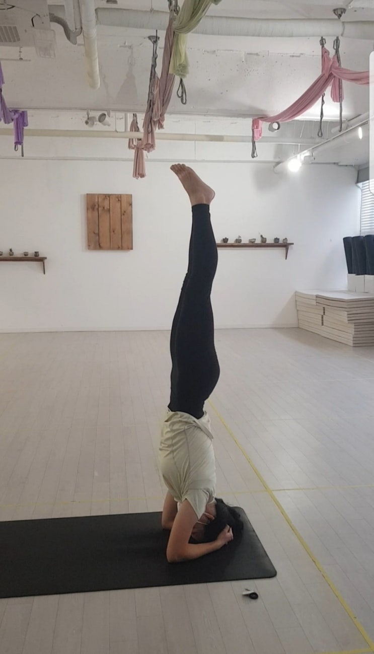  요가 머리 서기 자세 '시르사아사나' 반만 성공