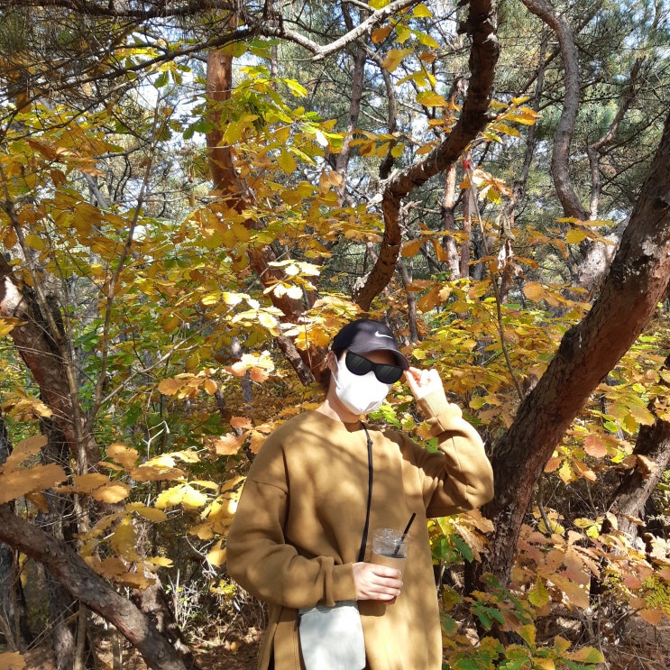 아차산 서울 초급자 등산코스 광나루역-&gt;아차산역(할아버지 손두부, 신토불이 떡볶이)
