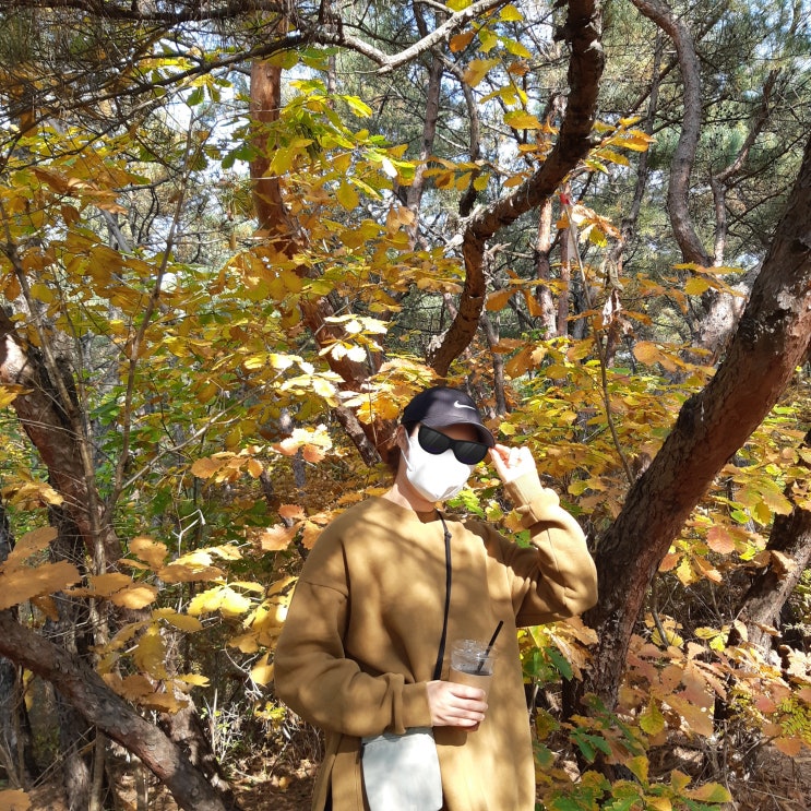  아차산 서울 초급자 등산코스 광나루역->아차산역(할아버지 손두부, 신토불이 떡볶이)