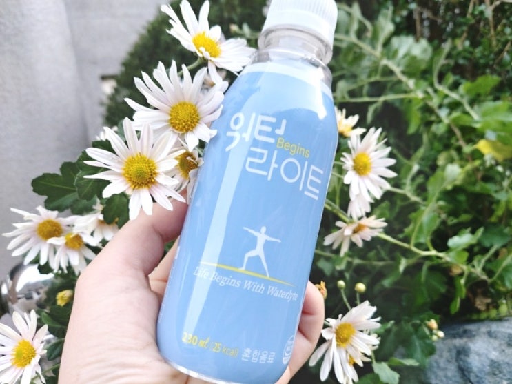  [수험생음료추천] 워터라이트 비긴즈 전해질음료로 환절기 수분보충하기