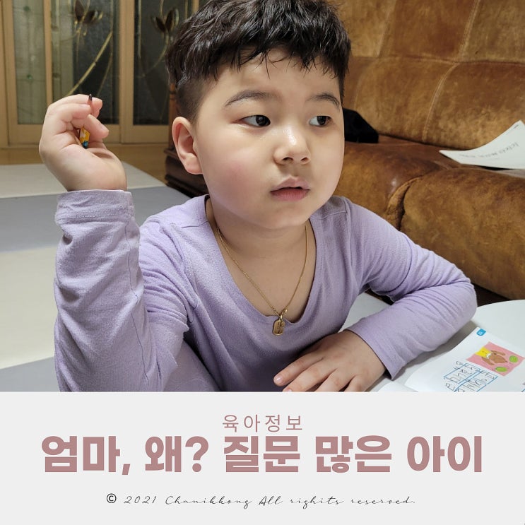  왜?라는 질문을 왜 그렇게 많이 할까? 호기심 많은 아이