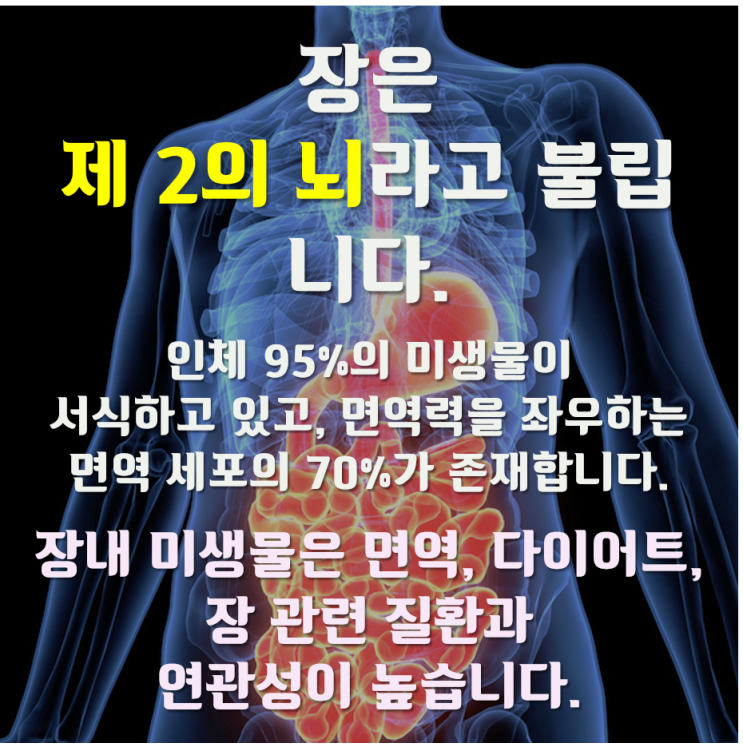  [Geno-B 시리즈] 장내 미생물에 대해서