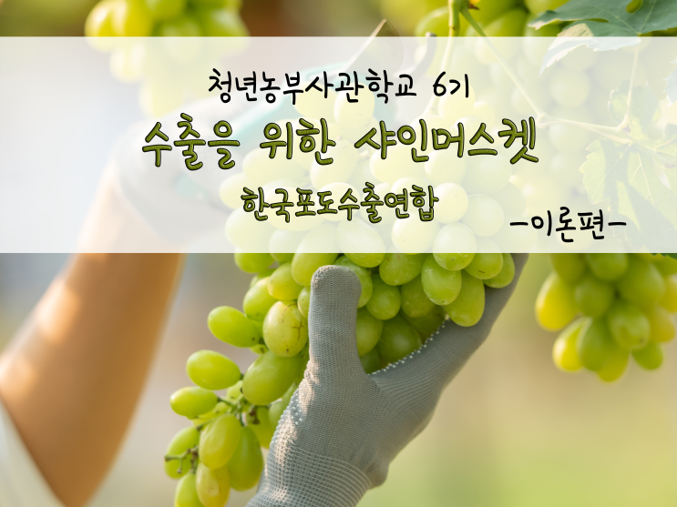  수출을 위한 샤인머스켓에 대하여!_한국포도수출연합(황의창 대표)_211103