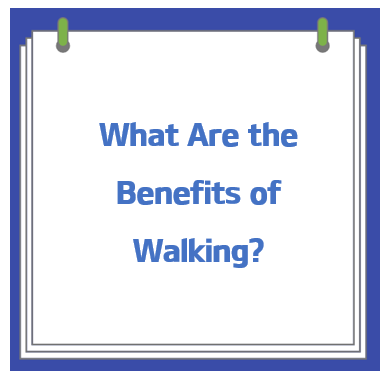  걷는게 좋은 이유  [Walking Benefits] 파주 운정의 가을 산책