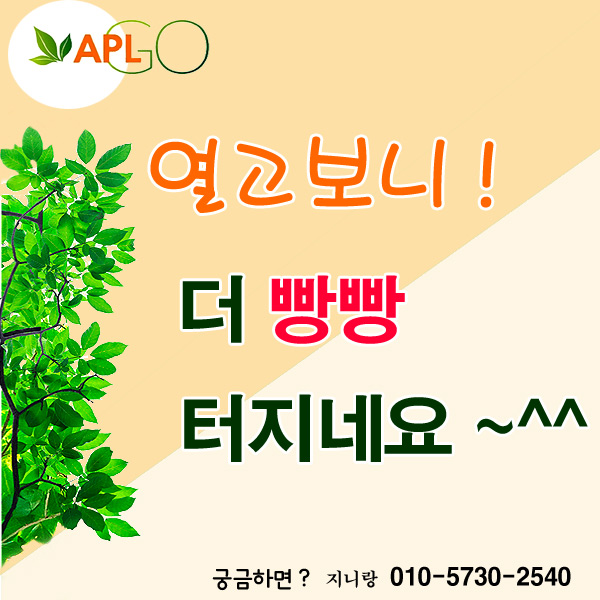  APLGO 에이피엘고 음이온 캔디 11월1일부터~ 2022년 1월 31일까지  OPEN 기념 EVENT