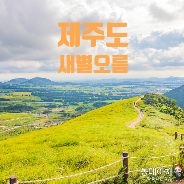 제주도 새별오름 주차장 및 정상