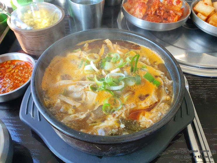 수원 해장국 맛집 오목천동 마포해장
