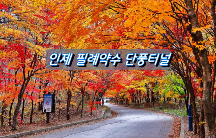 강원도 최고 단풍명소 인제 필례약수 단풍터널 강원도 최고 단풍명소 인제 필례약수 단풍터널