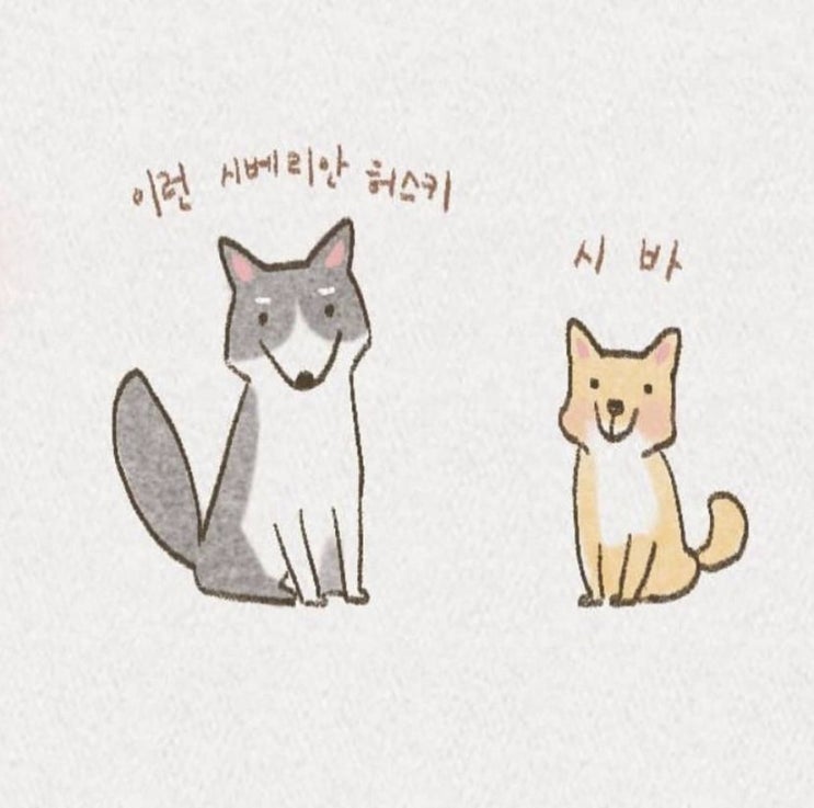  [스터디후기] 네이버 GFA DA CPC 광고 소재 스터디 수업 후기