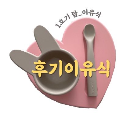 후기이유식 소고기 양송이 당근 양파죽 양송이큐브 만들기