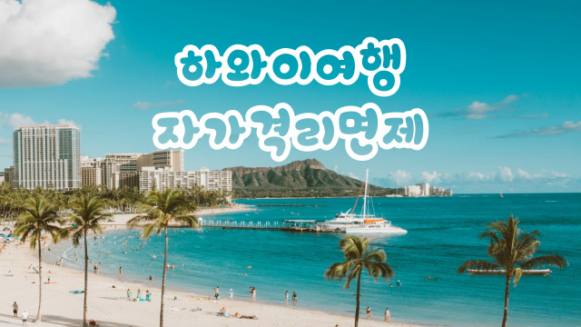  하와이자가격리면제 , 하와이입국 절차 완벽정리