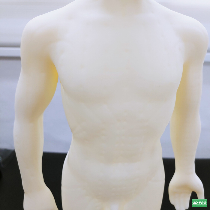 [3D프린터출력모형물]병원에서 사용하는 인체 모형 출력물을 제작하다  /SLA 레이저 방식/ABS Like 레진 소재[쓰리디프로/3D프로/3DPRO]