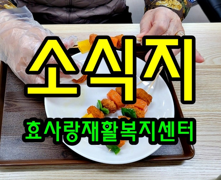  2021년 11월 소식지/프로그램계획표/식단표