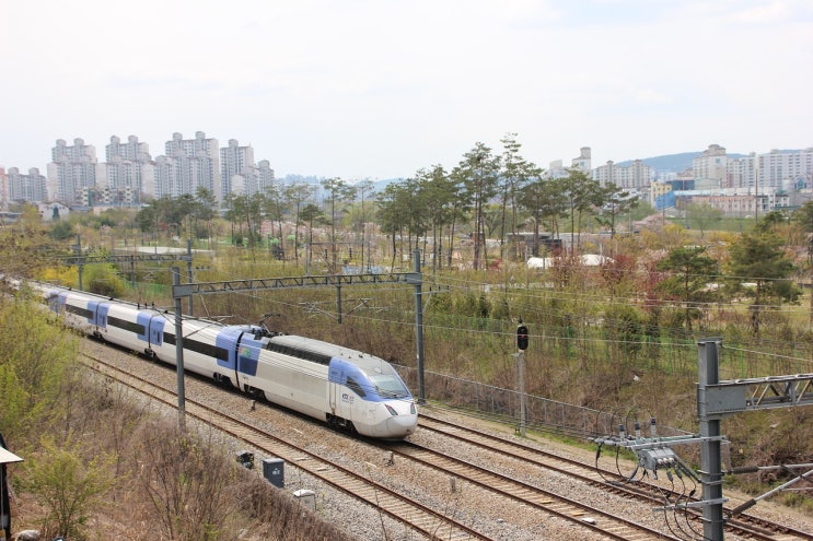  KTX 비회원 편한 예매방법/네이버 네이버지도앱 카카오T앱