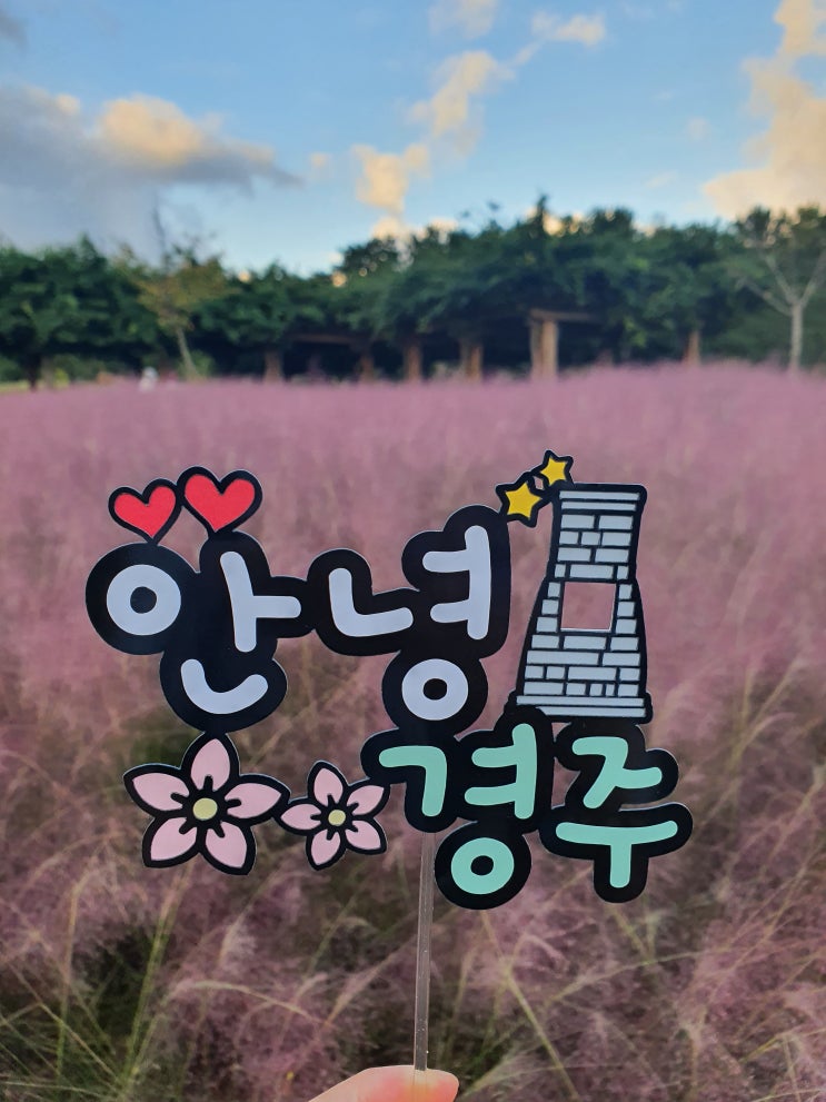  [경주/여행/1박2일] 가볍게 떠나는 경주 여행 (with 핑크 뮬리)