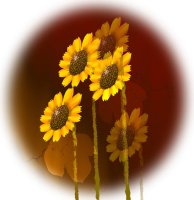  오늘의 꽃(Flower of the day)