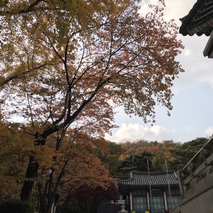  가을 느낌 물씬 나는 강북구 화계사 산책