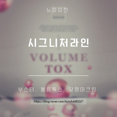  시그니처 라인