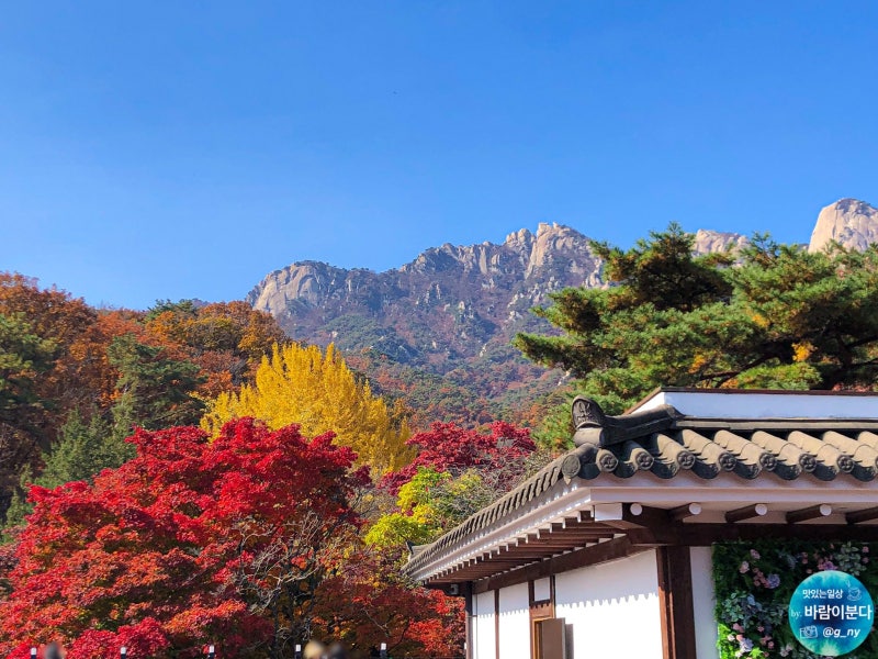 북한산 한옥 카페 선운각 / NEW 서울 단풍명소 : 네이버 블로그