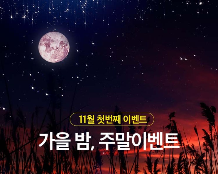  11월, 가을밤 이벤트