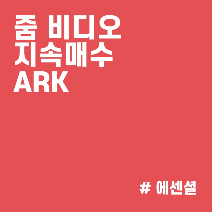  줌(ZOOM) 주식 주가 하락에 지속 매수하는 캐시우드 :: ARK 매매내역 (21/11/03)