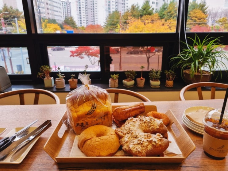  순천카페 조훈모과자점 빵도 맛있고 루프탑 단풍뷰까지 굿