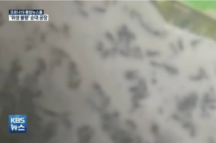  진성푸드 순대공장 _ 납품 리스트