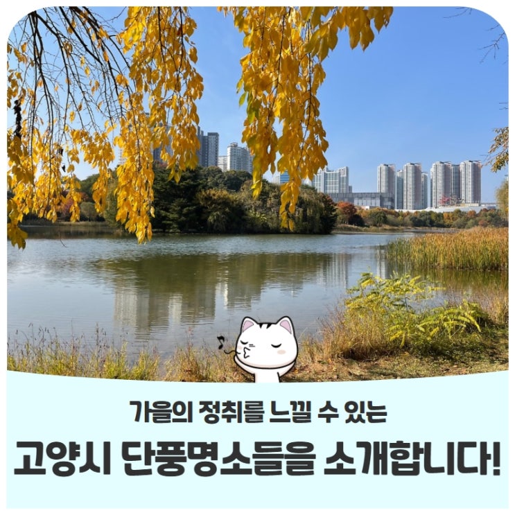 가을의 정취를 느낄 수 있는 고양시 단풍명소들을 소개합니다! 가을의 정취를 느낄 수 있는 고양시 단풍명소들을 소개합니다!