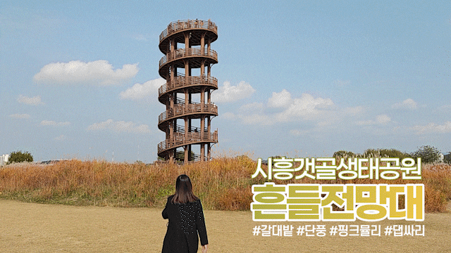 시흥 갯골생태공원 흔들전망대 갈대밭 경기도 단풍 명소 시흥 갯골생태공원 흔들전망대 갈대밭 경기도 단풍 명소