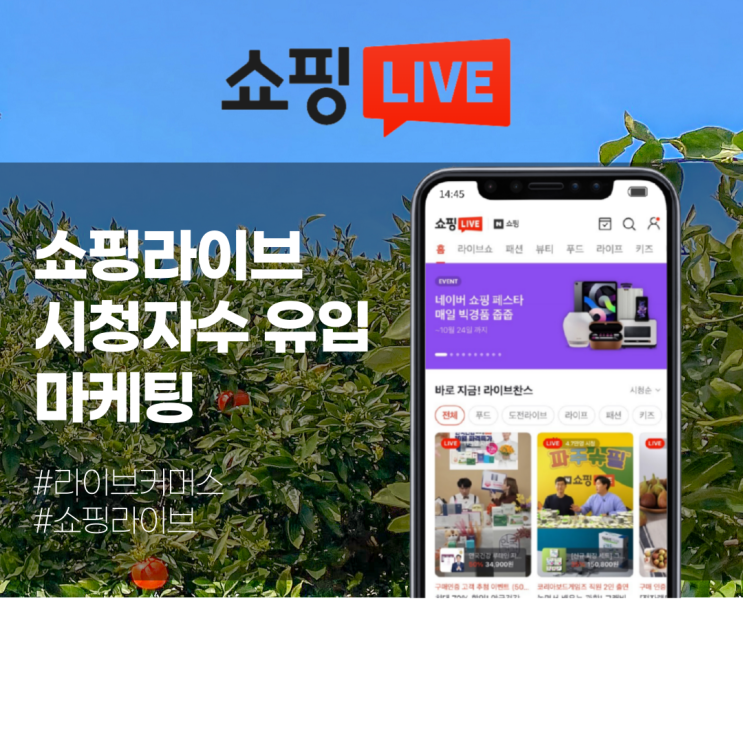  쇼핑라이브 시청자수 유입 마케팅