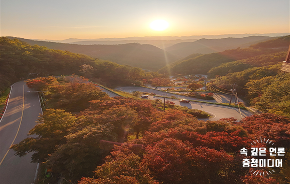  [충청미디어] ‘속리산말티재숲’, 노을과 어우러진 단풍 장관 이뤄