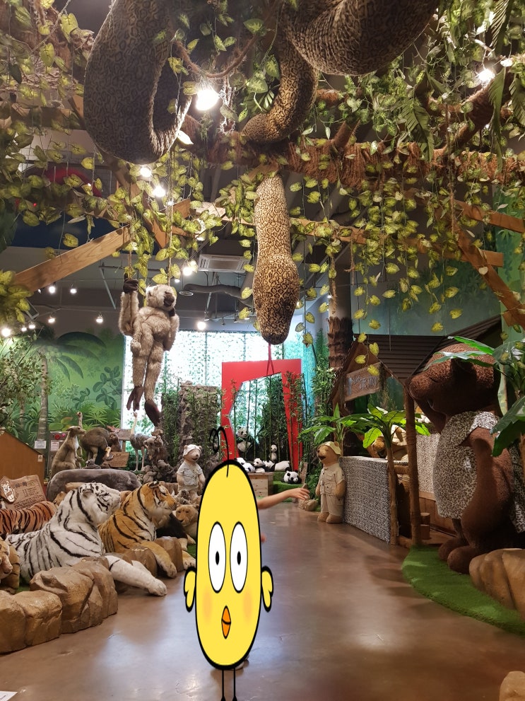 11일차-1)테디베어사파리, 장전반점, 팜코코넛